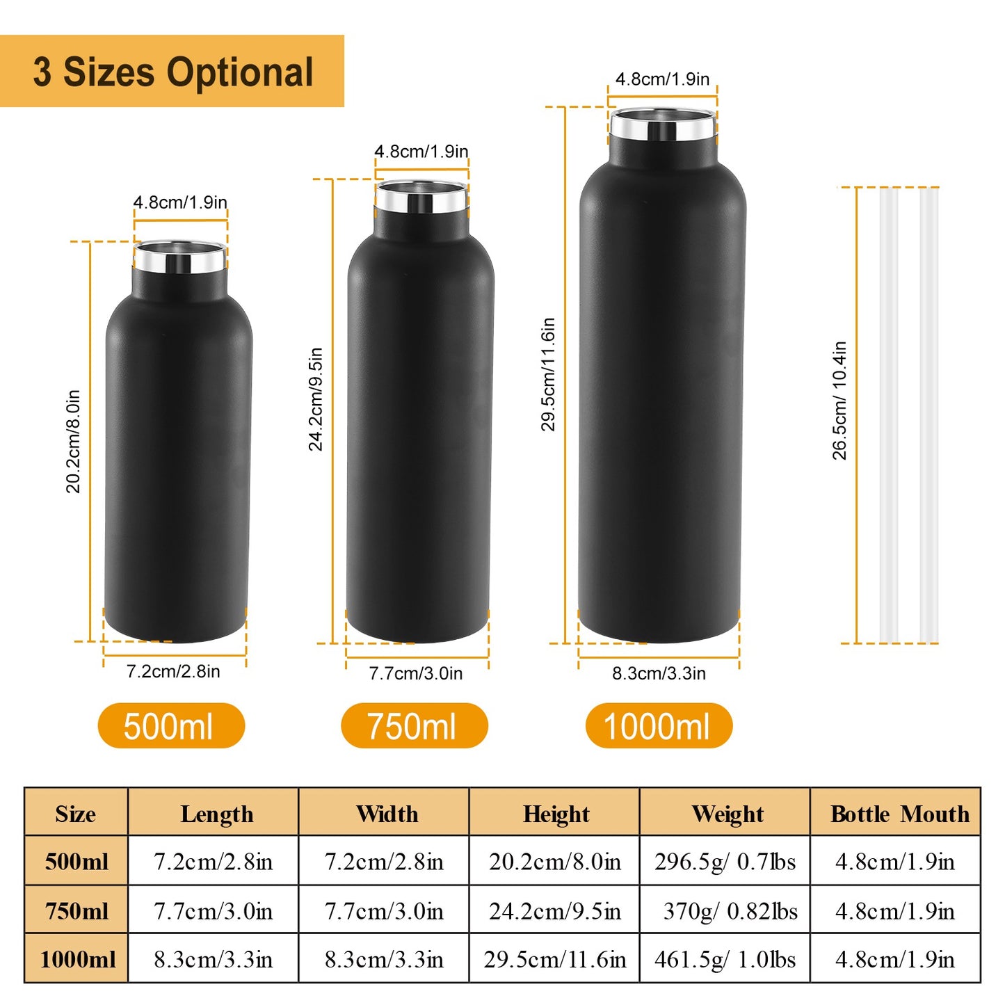 Sports Water Bottle Stainless Steel