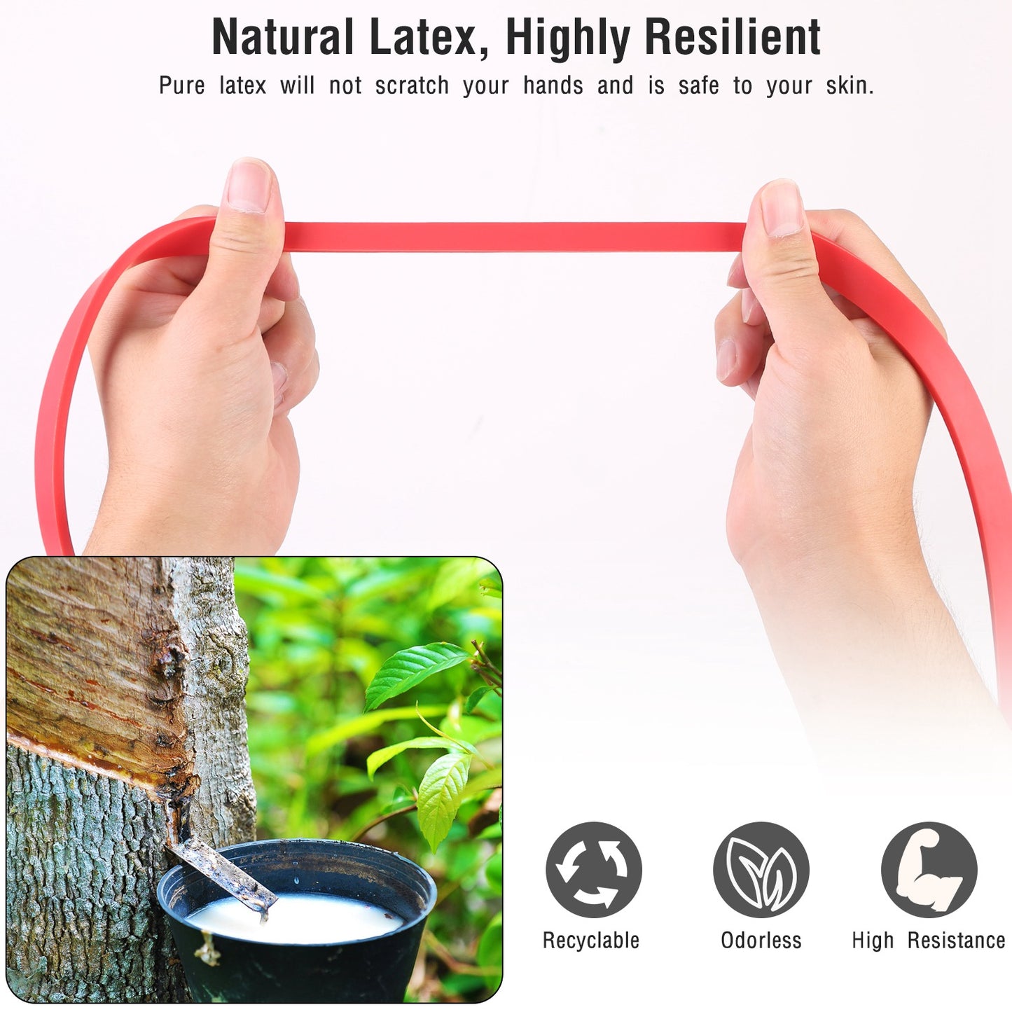Resistance Loop Band