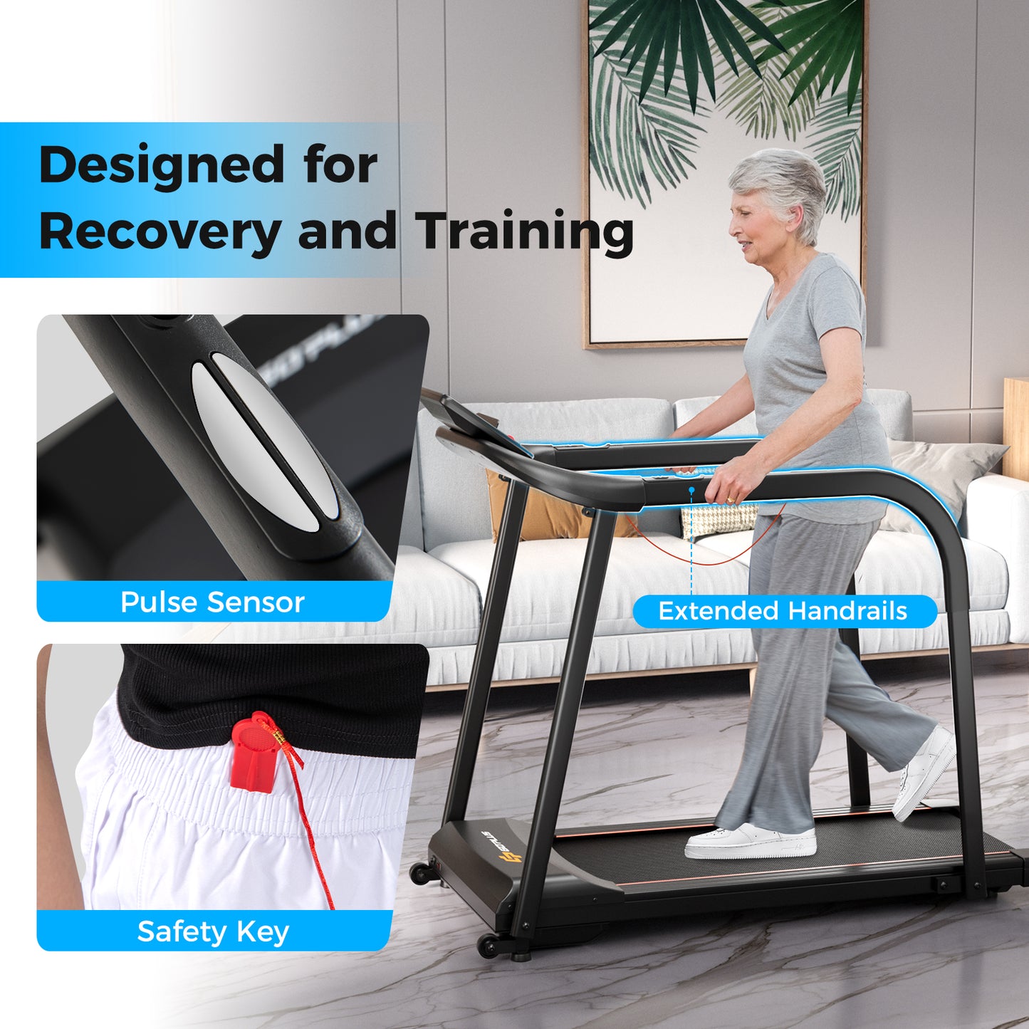 2.5 HP Walking Treadmill with Long Handrails for Seniors-Black