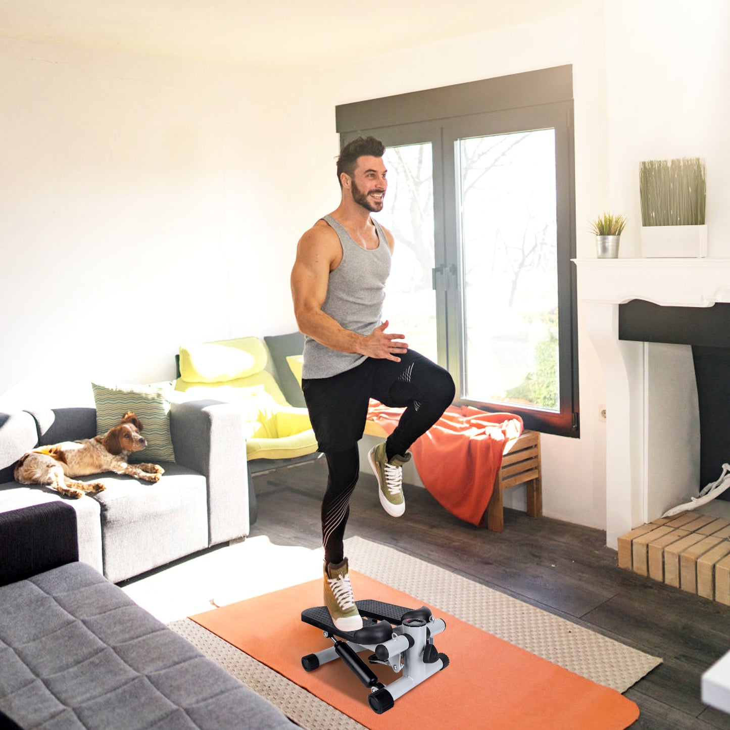 Fitness Stepper For Leg Exercise