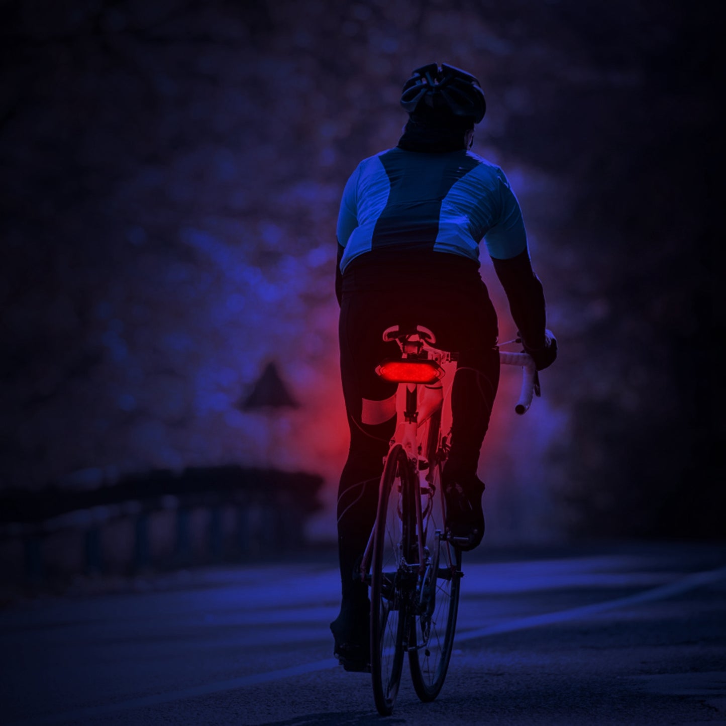 Smart Bike Tail Light