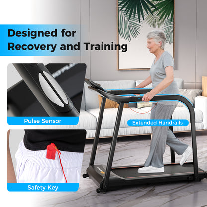 2.5 HP Walking Treadmill with Long Handrails for Seniors-Black
